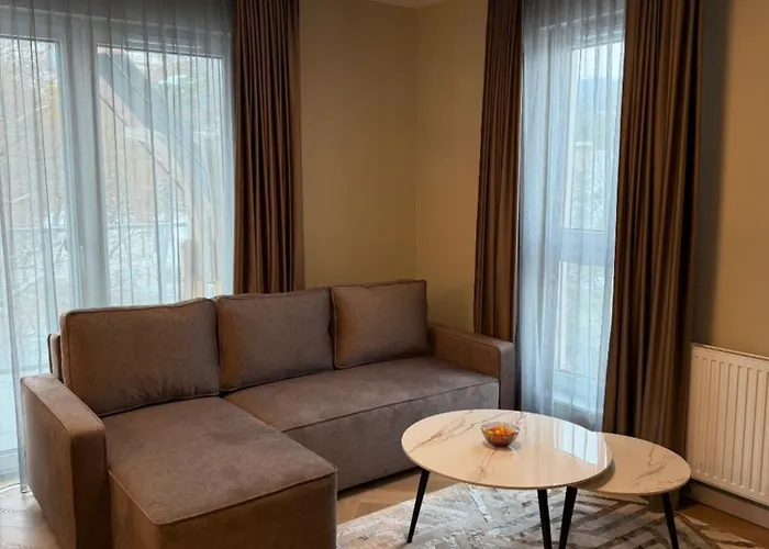 Szymony 324 公寓 扎科帕内